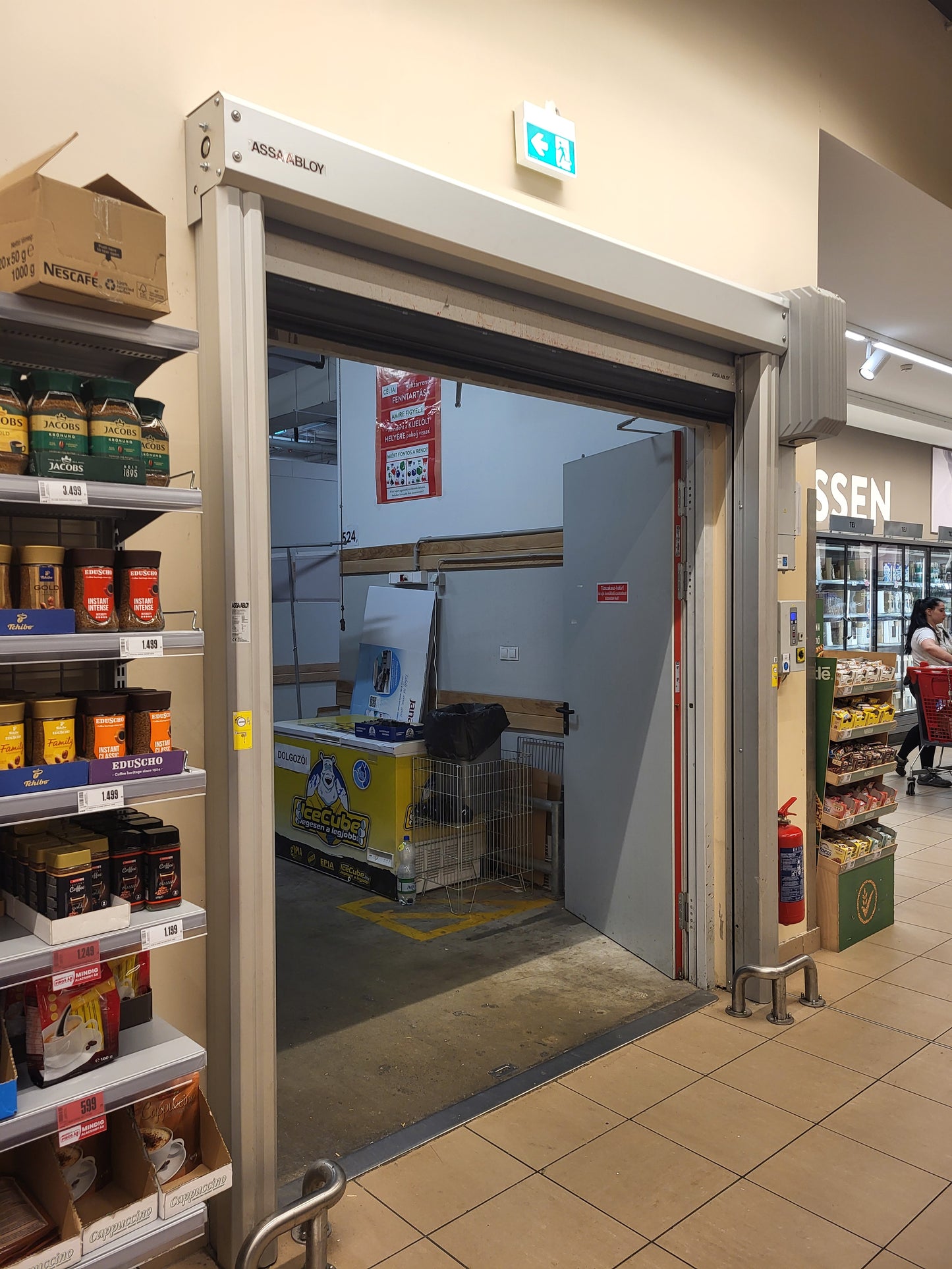 Assa Abloy Torsteuerungselektronik: Reparatur und Verkauf von RP300, MP300, RR300, RR300 PLUS