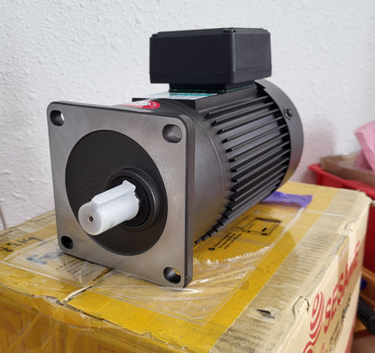 G11V200S-75, Sesame, Späneförderer-Getriebemotor, 0,2 kW